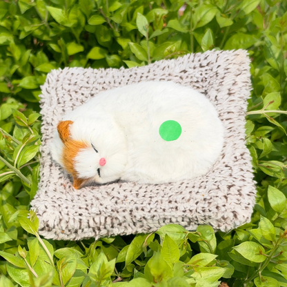 Cute Cats - Medium - 6 Colors
