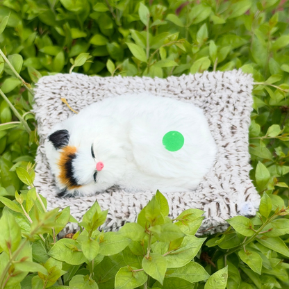 Cute Cats - Medium - 6 Colors