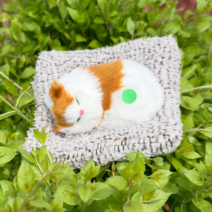 Cute Cats - Medium - 6 Colors