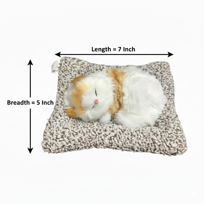 Cute Cats Large – soft cat that meows when pressed (photo 2 of 12)