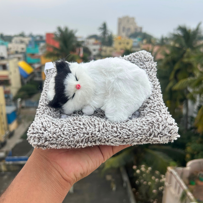 Cute Cats Large – soft cat that meows when pressed (photo 1 of 12)