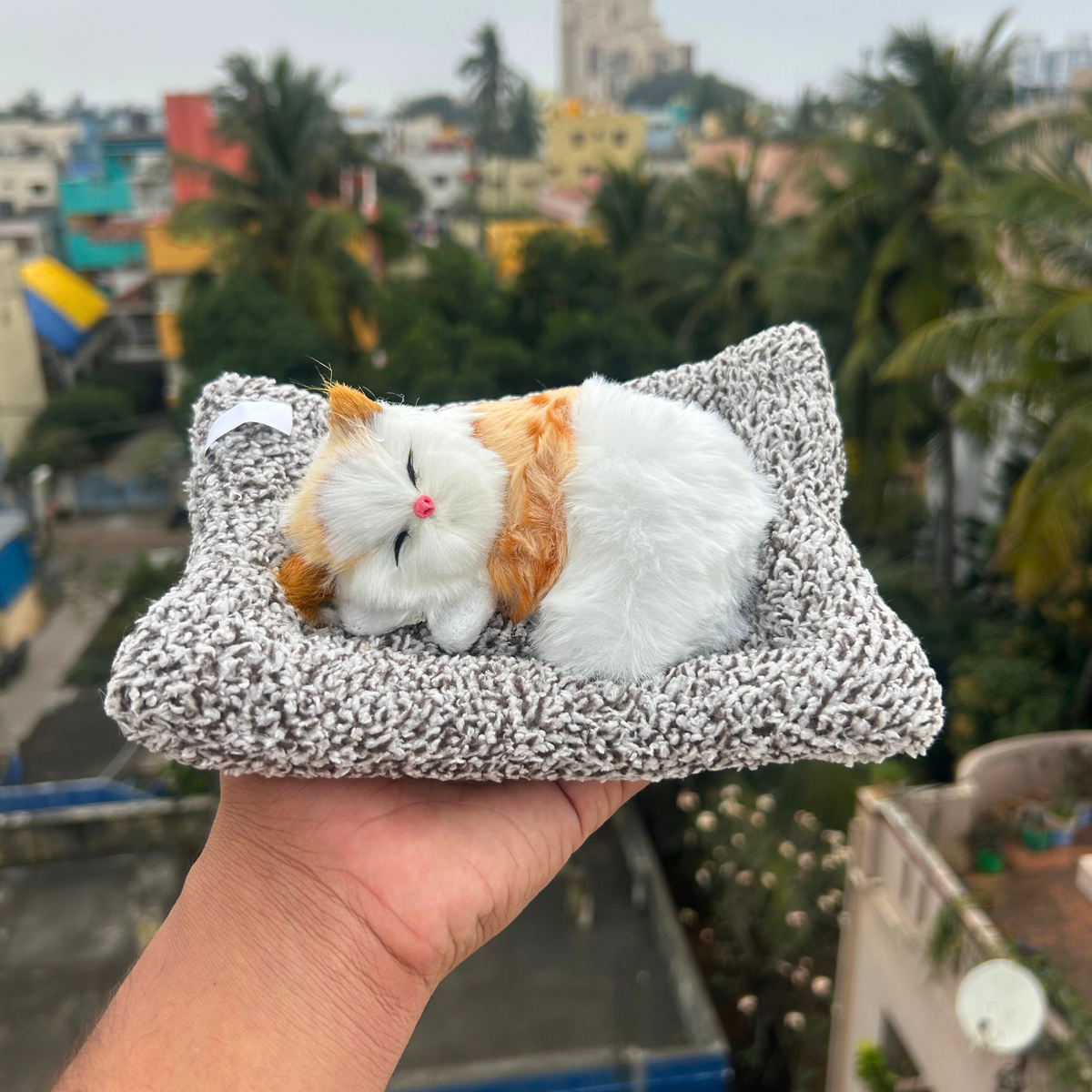 Cute Cats Large – soft cat that meows when pressed (photo 11 of 12)