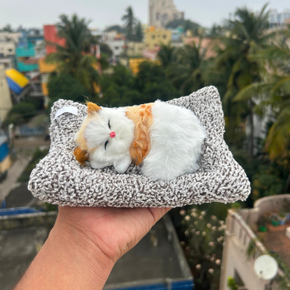 Cute Cats Large – soft cat that meows when pressed (photo 11 of 12)